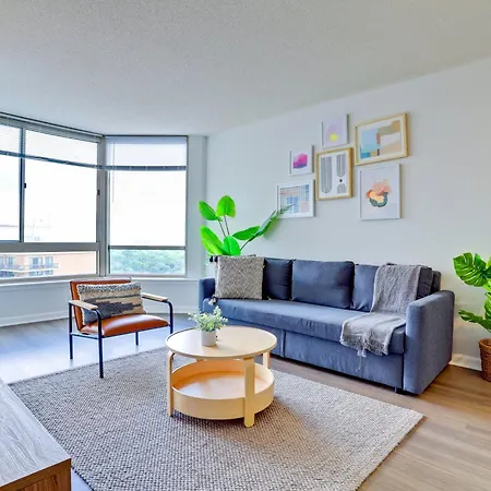Relax & Feel The Comfort In This Apt